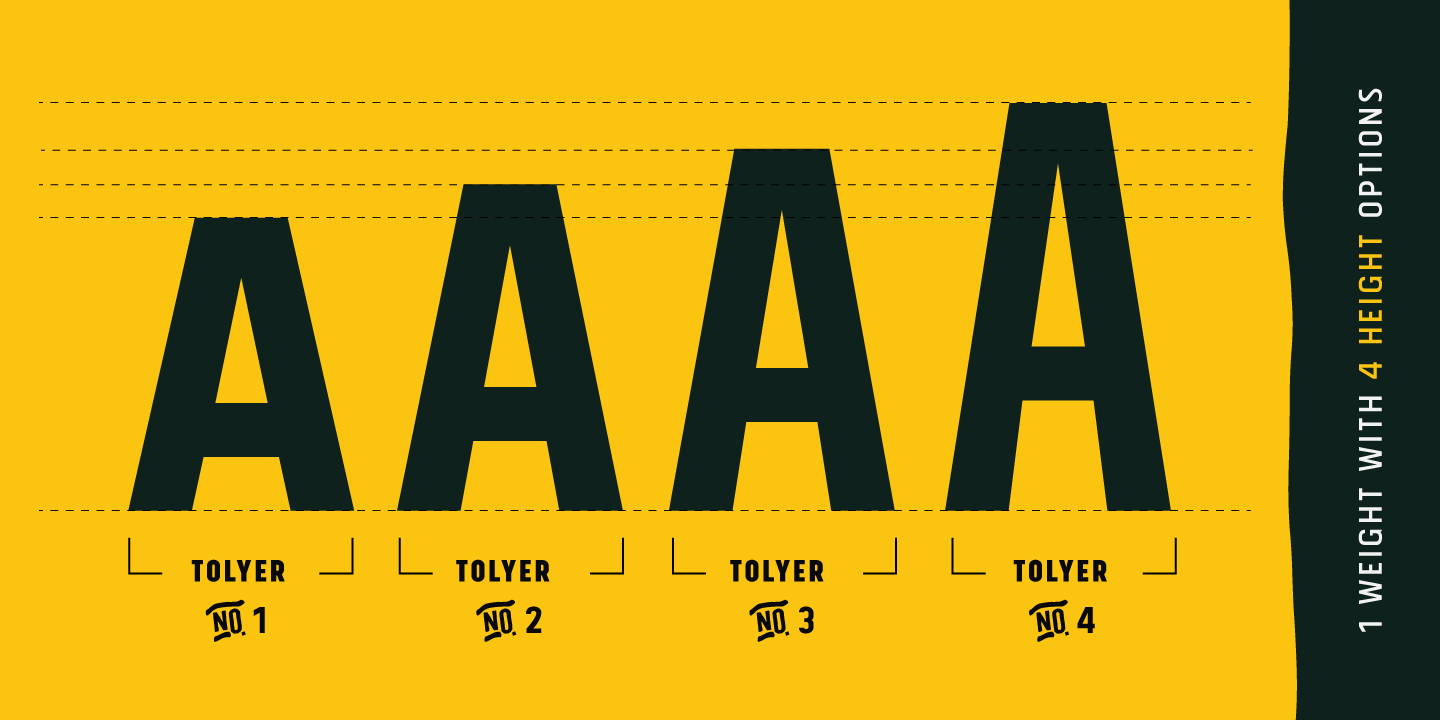 Tolyer No.1 Regular Font preview